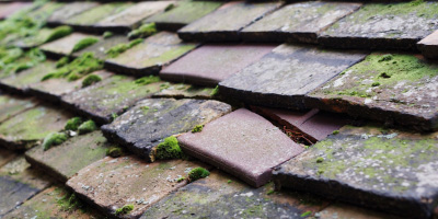 Foel Gastell roof repair costs